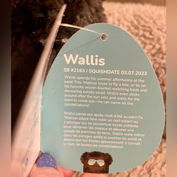 NWT ULTRA RARE Wallis Bigfoot with Sunglasses Squishmallow - 8 inches - Picture 7 of 8